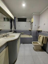 Emerald Park (D3), Condominium #462846251